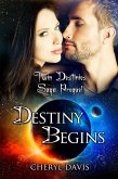 Destiny Begins (The Twin Destinies Saga) (eBook, ePUB)