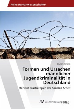 Formen und Ursachen männlicher Jugendkriminalität in Deutschland - Eckmann, Laura