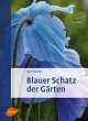 Blauer Schatz der Gärten - Bild 1