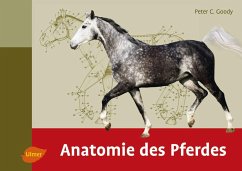 Anatomie des Pferdes - Goody, Peter C.