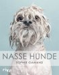 Nasse Hunde  - Bild 1