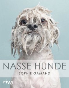 Cover Nasse Hunde 