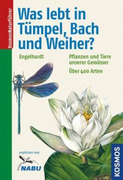 Was lebt in Tümpel, Bach und Weiher? - Engelhardt, Wolfgang; Martin, Peter; Pfadenhauer, Jörg; Rehfeld, Klaus