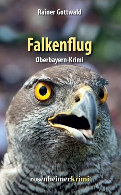 Falkenflug (eBook, ePUB) - Gottwald, Rainer