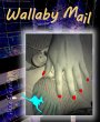 Wallaby Mail (eBook, ePUB) - Bild 1