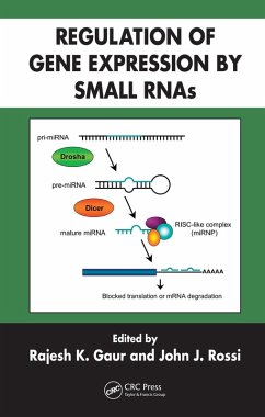 Cover Regulation of Gene Expression by Small RNAs (eBook, PDF)