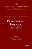 Developmental Toxicology (eBook, PDF)