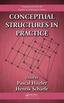 Cover Conceptual Structures in Practice (eBook, PDF)