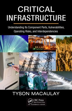 Critical Infrastructure (eBook, PDF) - Macaulay, Tyson