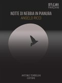 Notte Di Nebbia In Pianura (eBook, ePUB)