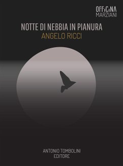 Notte Di Nebbia In Pianura (eBook, ePUB) - Ricci, Angelo