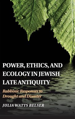 Power, Ethics, and Ecology in Jewish Late Antiquity - Belser, Julia Watts