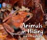 Animals in Hiding - Bild 1