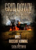 Grid Down Perceptions Of Reality (Part 1, #2) (eBook, ePUB)