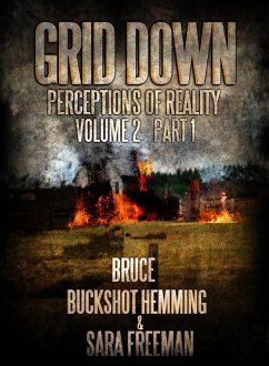 Grid Down Perceptions Of Reality (Part 1, #2) (eBook, ePUB) - Hemming, Bruce Buckshot