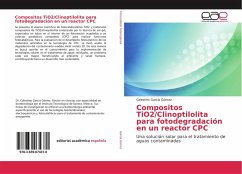 Compositos TiO2/Clinoptilolita para fotodegradación en un reactor CPC