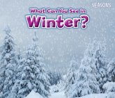 What Can You See In Winter?