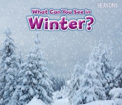 What Can You See In Winter? - Smith, Sian