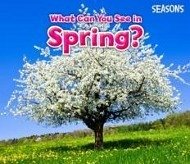 What Can You See In Spring? - Smith, Sian