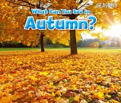 What Can You See In Autumn? - Smith, Sian