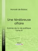 Une ténébreuse affaire (eBook, ePUB)