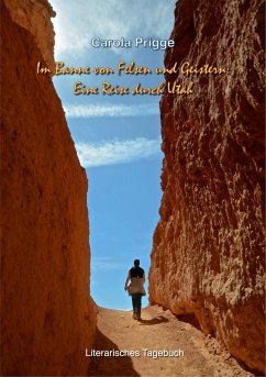 Im Banne von Felsen und Geistern: Eine Reise durch Utah (eBook, ePUB) - Prigge, Carola