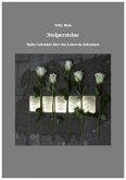 Stolpersteine (eBook, ePUB)