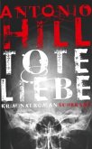 Tote Liebe / Héctor-Salgado-Trilogie Bd.3