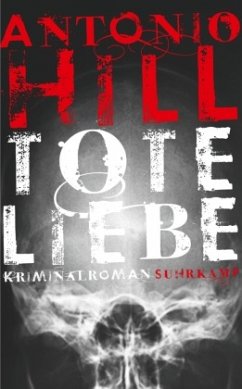 Tote Liebe / Héctor-Salgado-Trilogie Bd.3 - Hill, Antonio