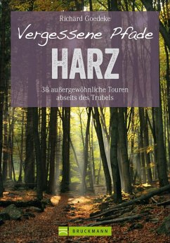 Vergessene Pfade im Harz - Goedeke, Richard
