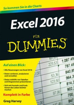 Cover Excel 2016 für Dummies