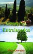 Corações Entrelaçados (eBook, ePUB) - Bild 1