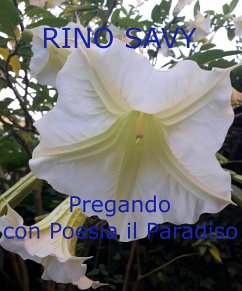 Pregando con Poesia il Paradiso (eBook, PDF) - Rino Savy ', '