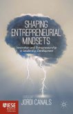 Shaping Entrepreneurial Mindsets