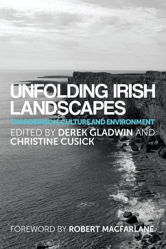 Unfolding Irish landscapes