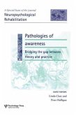 Pathologies of Awareness: Bridging the Gap Between Theory and Practice