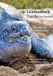 The Leatherback Turtle - Bild 1