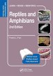 Reptiles and Amphibians - Bild 1