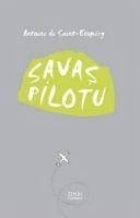 Savas Pilotu - De Saint-Exupery, Antoine