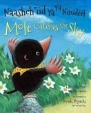 Mole Catches the Sky (Navajo/English)