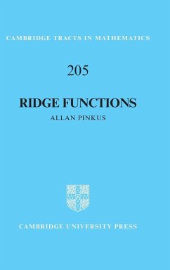 Ridge Functions - Pinkus, Allan