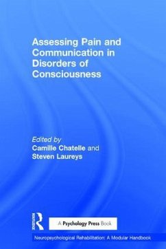 Assessing Pain and Communication in Disorders of Consciousness