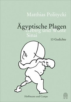 Ägyptische Plagen (eBook, ePUB) - Politycki, Matthias