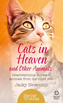 Cats in Heaven - Newcomb, Jacky