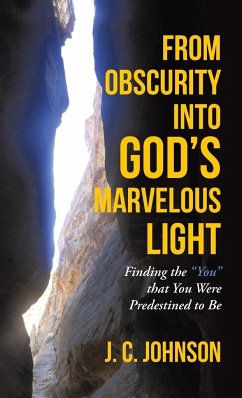 From Obscurity into God's Marvelous Light - Johnson, J. C.