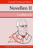 Novellen II (Großdruck)