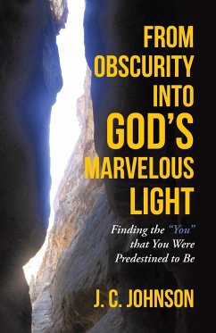 From Obscurity into God's Marvelous Light - Johnson, J. C.