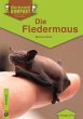 Die Fledermaus - Bild 1