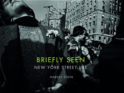 Briefly Seen: New York Street Life - Stein, Harvey