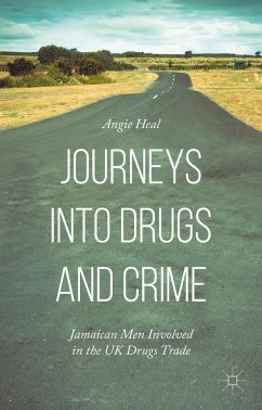 Journeys Into Drugs and Crime - Heal, Angie